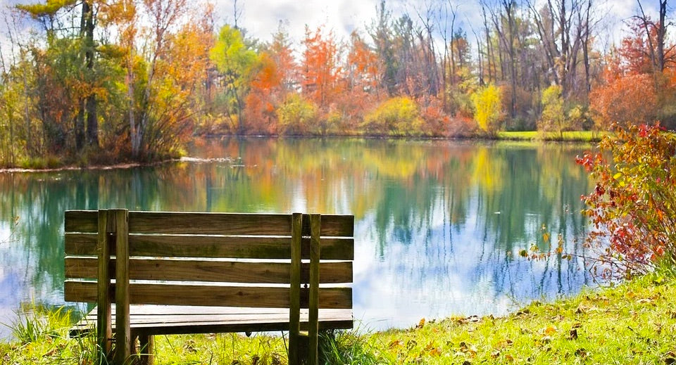 The Importance of Lake and Pond Aeration for an Aquatic Ecosystem